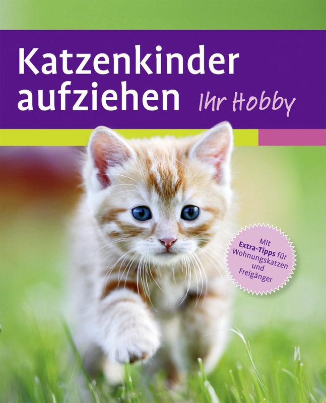 Cover: 9783800167487 | Katzenkinder aufziehen | Mark Evans | Taschenbuch | 128 S. | Deutsch