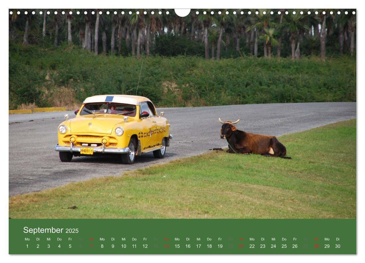 Bild: 9783435818976 | Cars of Cuba 2025 (Wandkalender 2025 DIN A3 quer), CALVENDO...