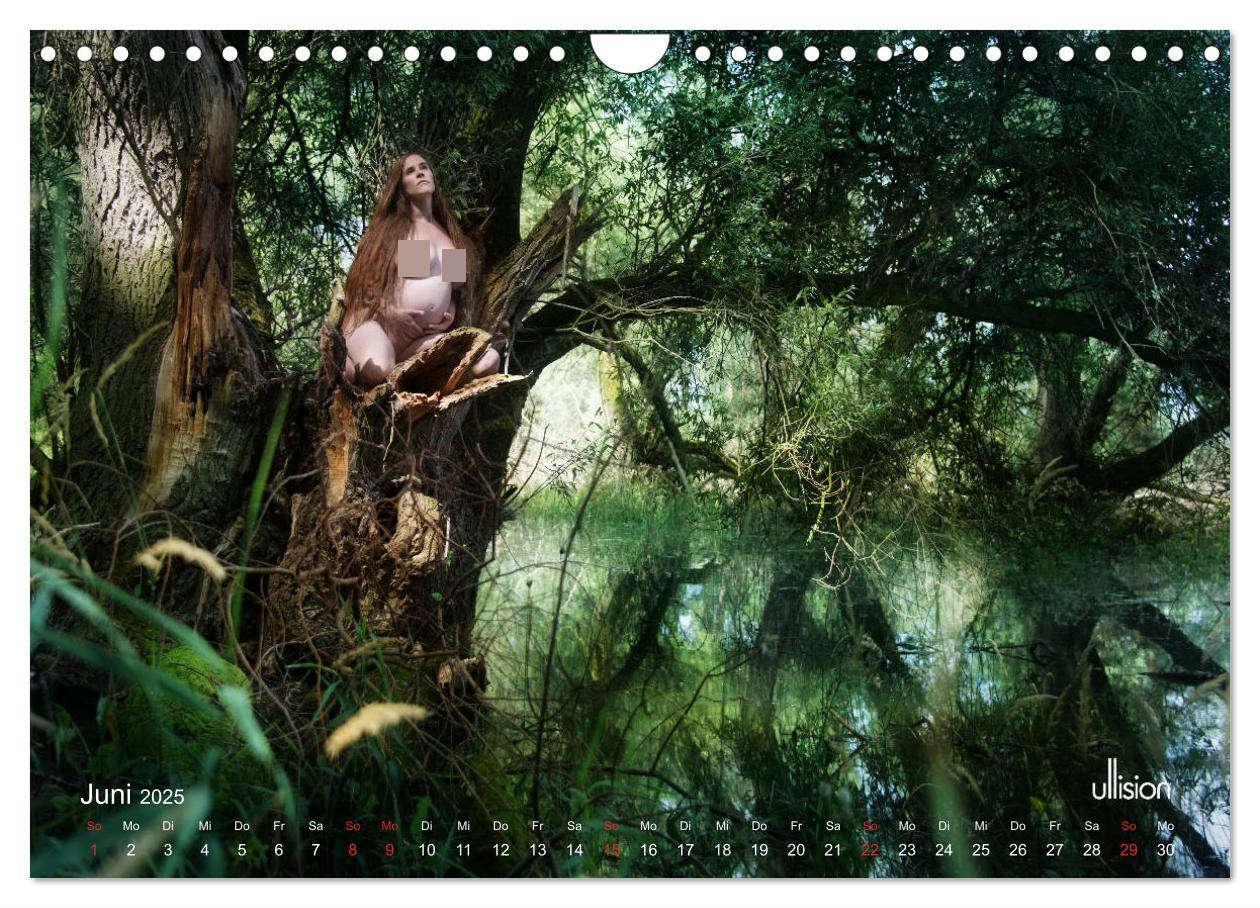 Bild: 9783435504350 | WUNDER DER NATUR - wenn neues Leben entsteht (Wandkalender 2025 DIN...