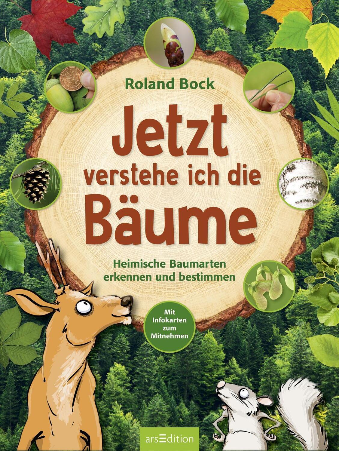 Bild: 9783845847030 | Jetzt verstehe ich die Bäume | Roland Bock | Buch | 48 S. | Deutsch