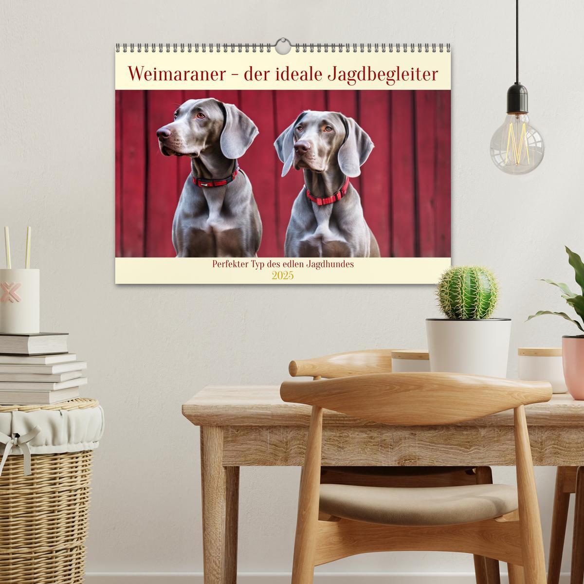 Bild: 9783435979288 | Weimaraner - der ideale Jagdbegleiter (Wandkalender 2025 DIN A3...