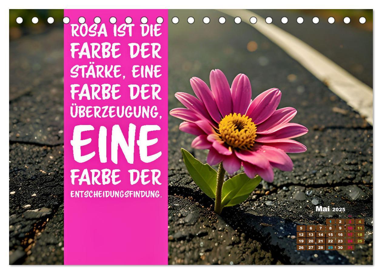 Bild: 9783457224052 | Lieblingsfarbe Rosa - mit coolen Sprüchen (Tischkalender 2025 DIN...