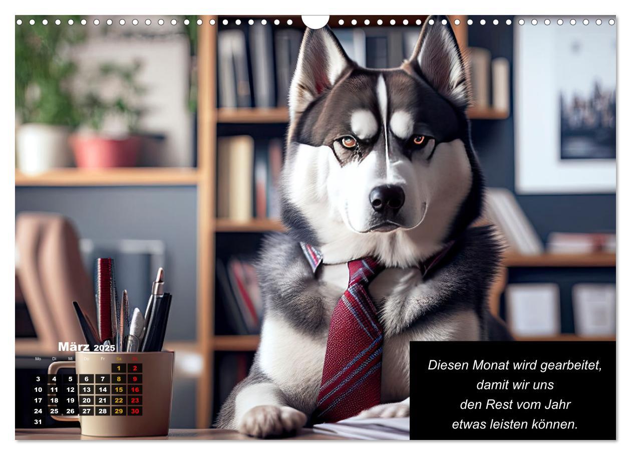 Bild: 9783435647200 | Der tierisch lustige Husky Kalender (Wandkalender 2025 DIN A3...