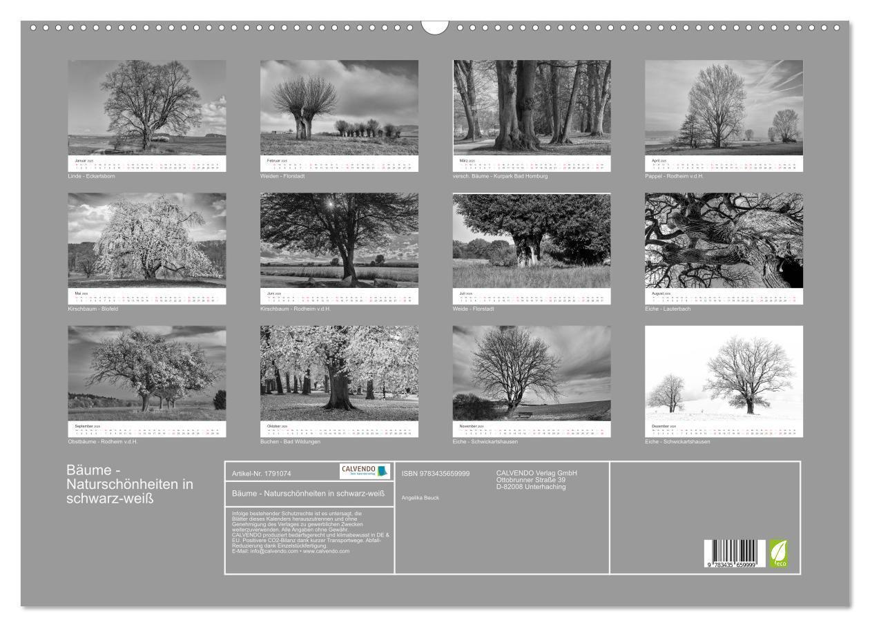 Bild: 9783435659999 | Bäume - Naturschönheiten in schwarz-weiß (Wandkalender 2025 DIN A2...