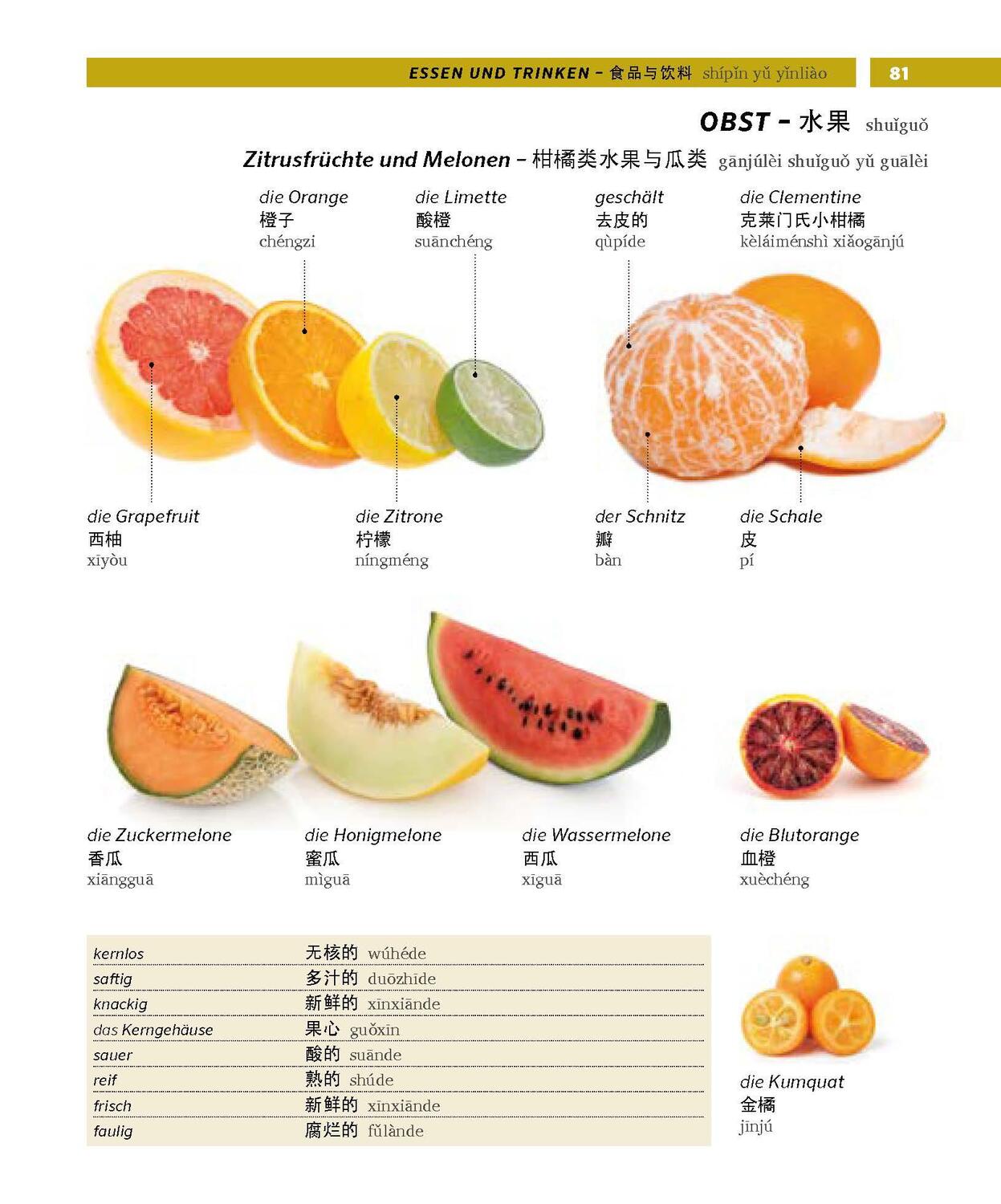 Bild: 9783125162877 | PONS Bildwörterbuch Chinesisch | Taschenbuch | PONS Bildwörterbuch