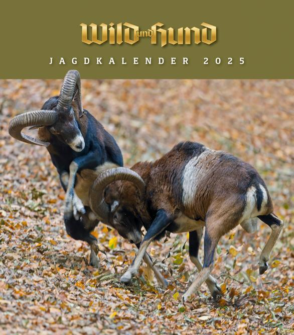 Cover: 9783897152816 | Jagdkalender Tischvariante 2025 | WILD UND HUND | HUND | Kalender