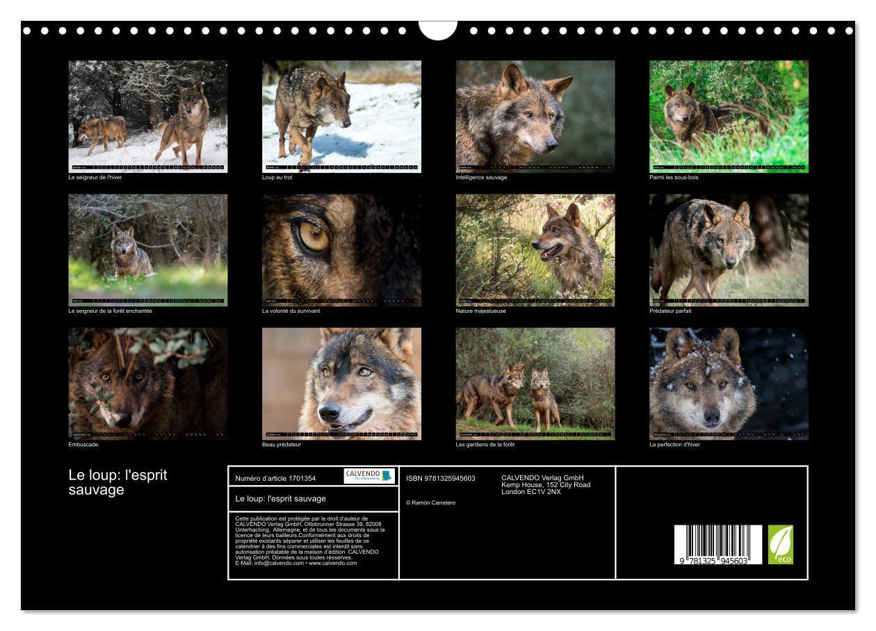 Bild: 9781325945603 | Le loup: l'esprit sauvage (Calendrier mural 2025 DIN A3 vertical),...