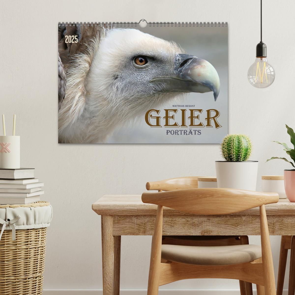 Bild: 9783435085057 | GEIERPORTRÄTS (Wandkalender 2025 DIN A3 quer), CALVENDO Monatskalender