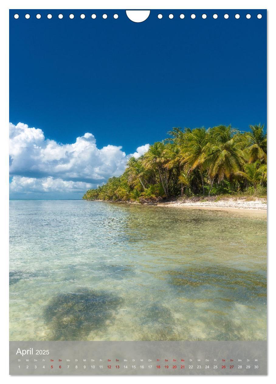 Bild: 9783435916689 | Karibischer Traum Isla Saona (Wandkalender 2025 DIN A4 hoch),...