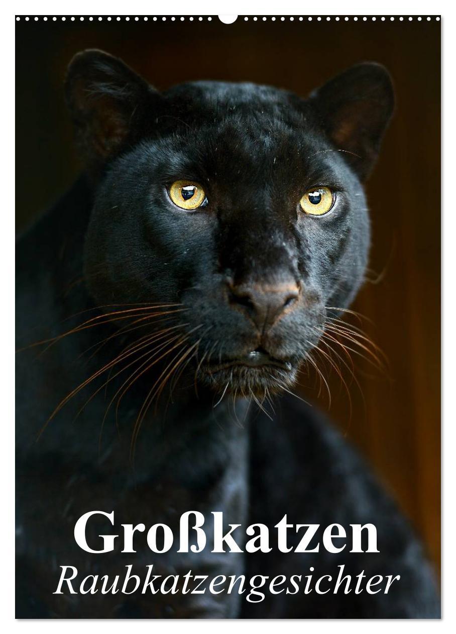 Cover: 9783457065532 | Großkatzen. Raubkatzengesichter (Wandkalender 2025 DIN A2 hoch),...