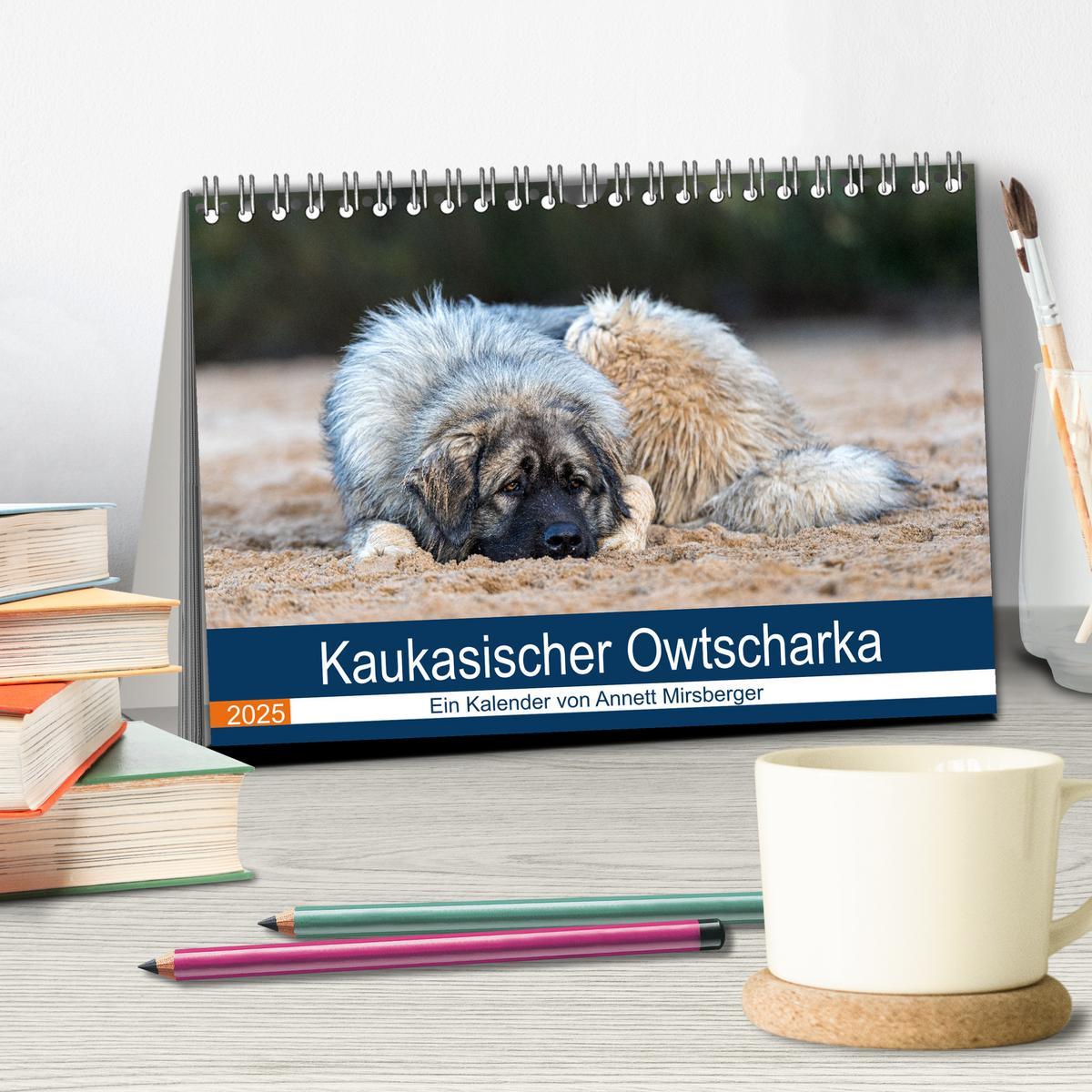 Bild: 9783435045419 | Kaukasischer Owtscharka (Tischkalender 2025 DIN A5 quer), CALVENDO...