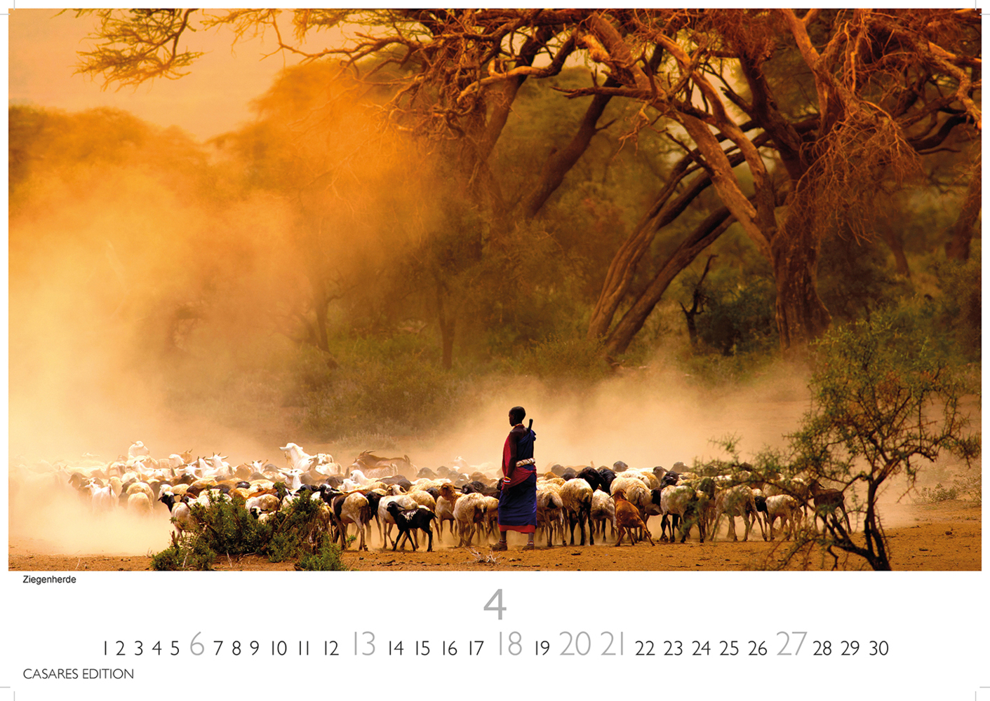 Bild: 9781835240601 | Kenia/Serengeti 2025 L 35x50cm | Kalender | 14 S. | Deutsch | 2025