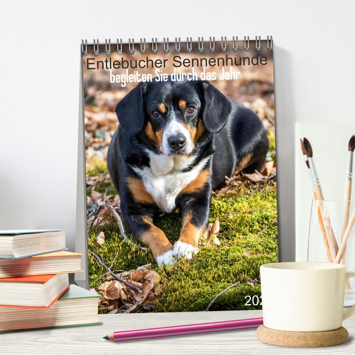 Bild: 9783457025314 | Entlebucher Sennenhunde begleiten Sie durch das Jahr (Tischkalender...