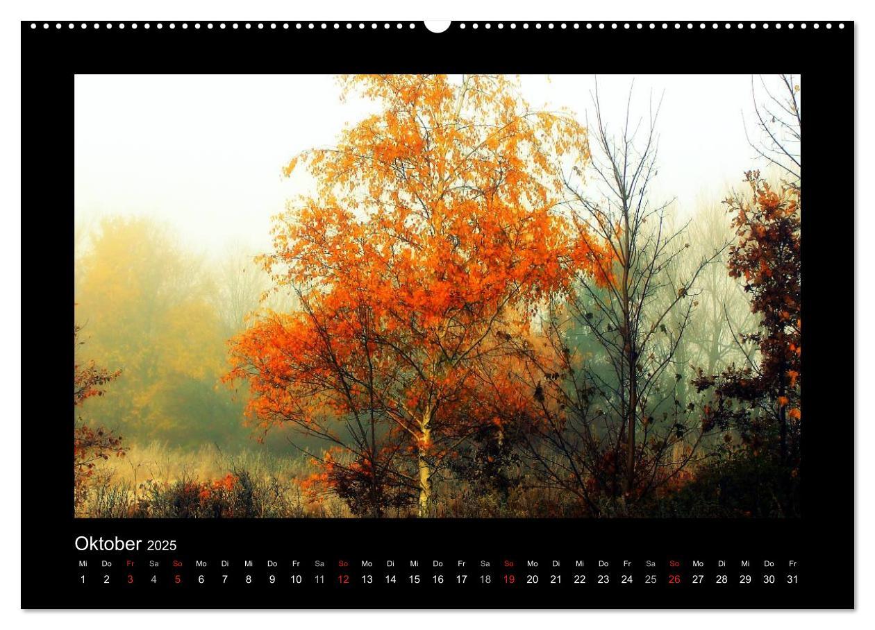 Bild: 9783435731398 | Landschaft Teufelsmoor / 2025 (Wandkalender 2025 DIN A2 quer),...