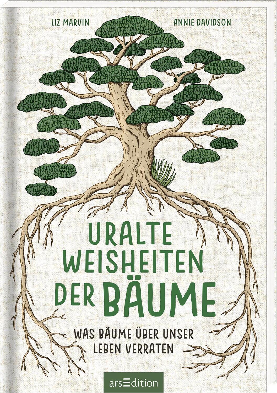 Cover: 9783845839745 | Uralte Weisheiten der Bäume | Was Bäume über unser Leben verraten