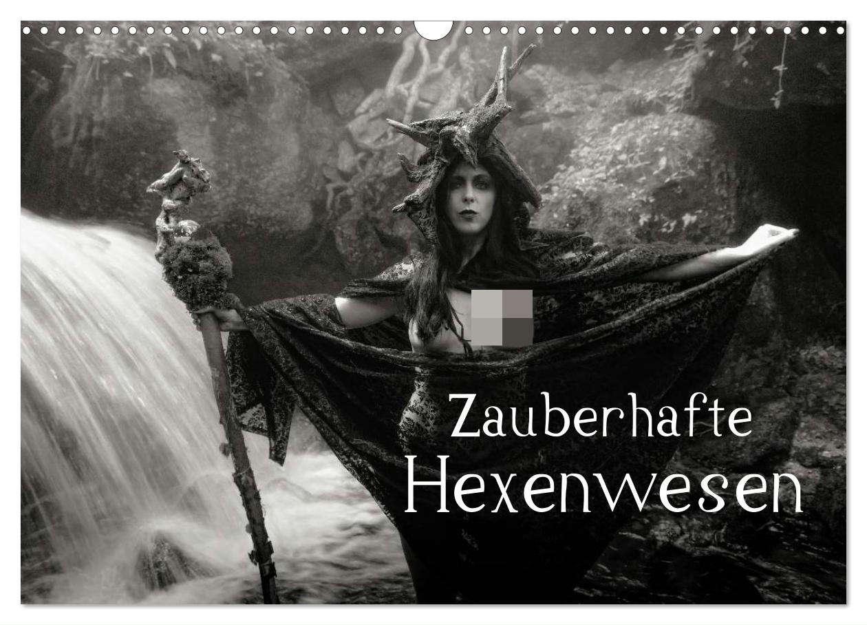 Cover: 9783435700288 | Zauberhafte Hexenwesen (Wandkalender 2025 DIN A3 quer), CALVENDO...