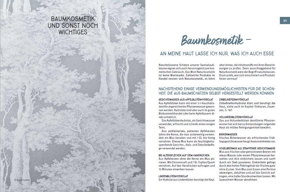 Bild: 9783702019549 | Blätter, Knospen, Rinde &amp; Co. | Ursula Asamer | Buch | 200 S. | 2022