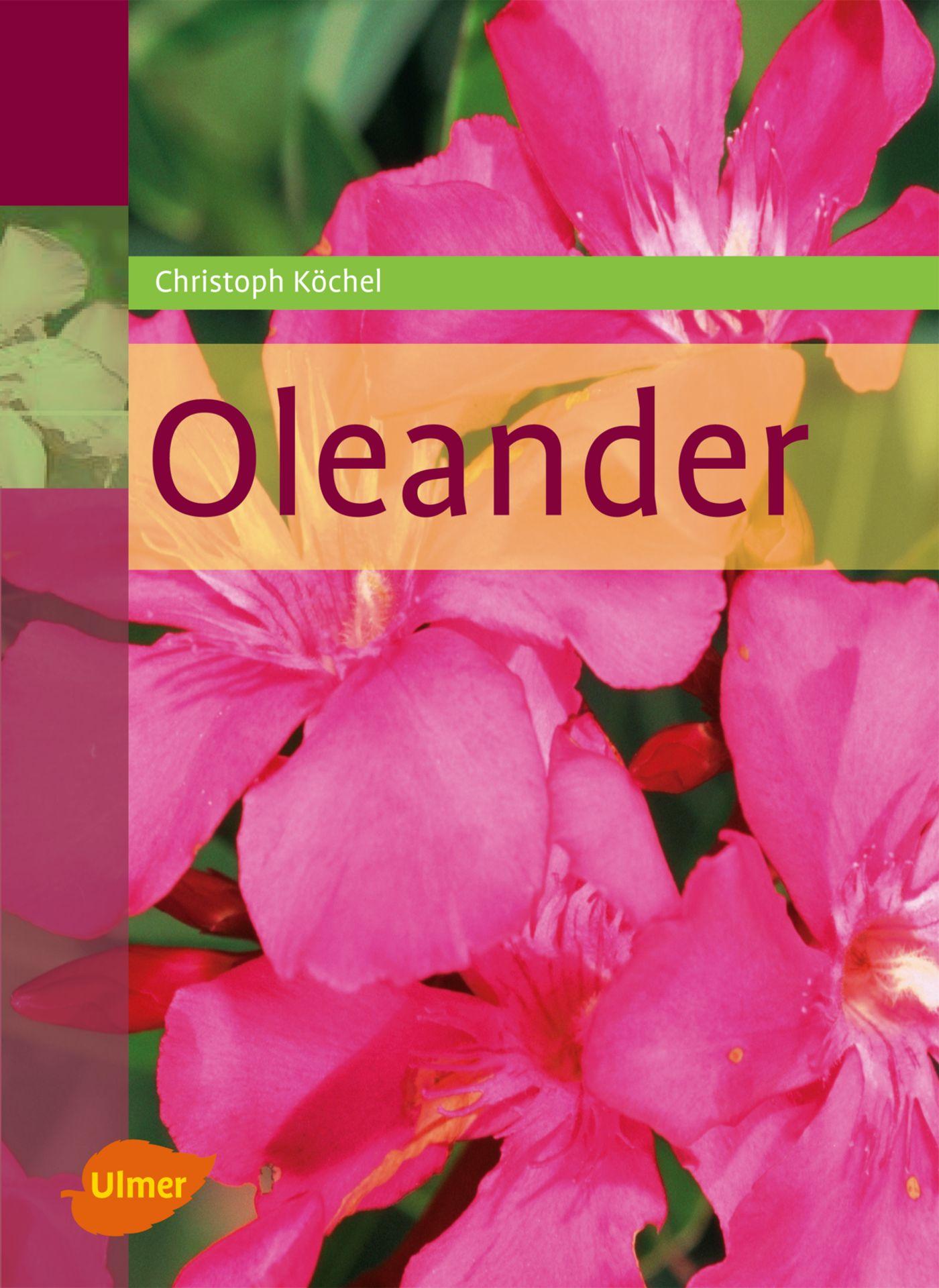 Cover: 9783800151936 | Oleander | Christoph Köchel | Taschenbuch | 144 S. | Deutsch | 2007