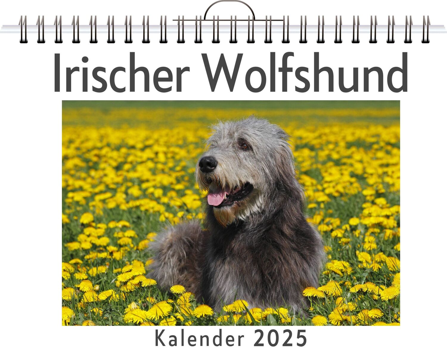 Cover: 9783759132697 | Irischer Wolfshund | Julia Hartmann | Kalender | Kalender | 14 S.