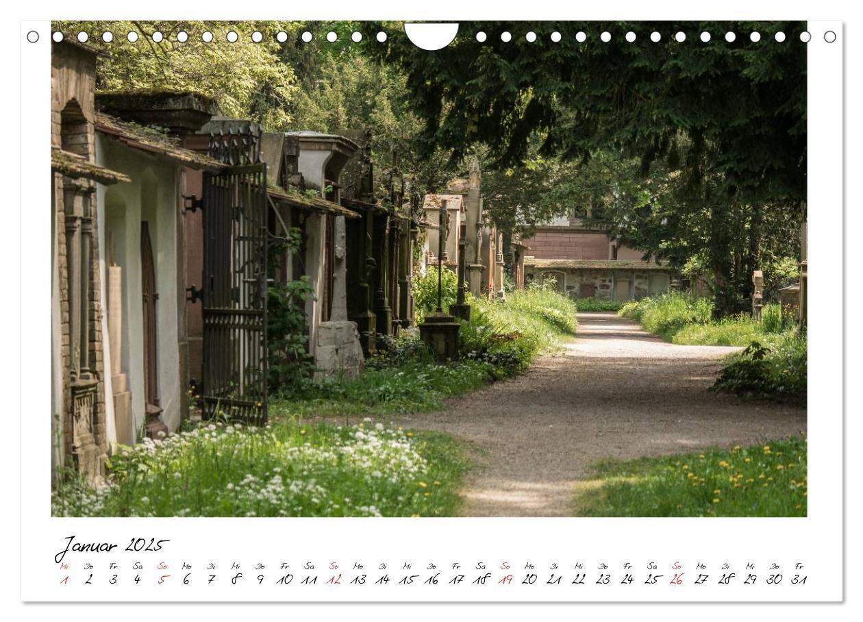 Bild: 9783435712892 | Alter Friedhof Freiburg (Wandkalender 2025 DIN A4 quer), CALVENDO...