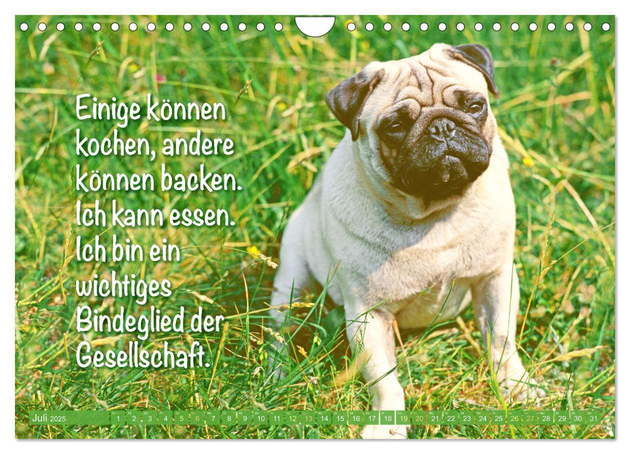 Bild: 9783457167144 | Lächeln mit Mops (Wandkalender 2025 DIN A4 quer), CALVENDO...