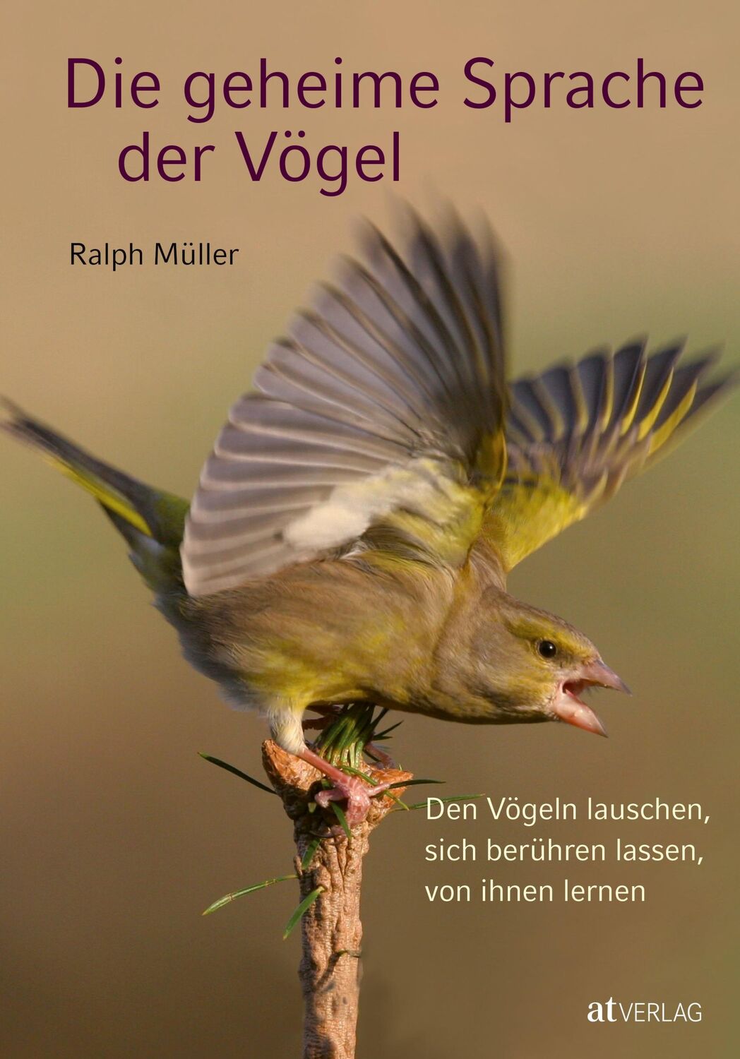 Cover: 9783038004882 | Die geheime Sprache der Vögel | Ralph Müller | Buch | 253 S. | Deutsch