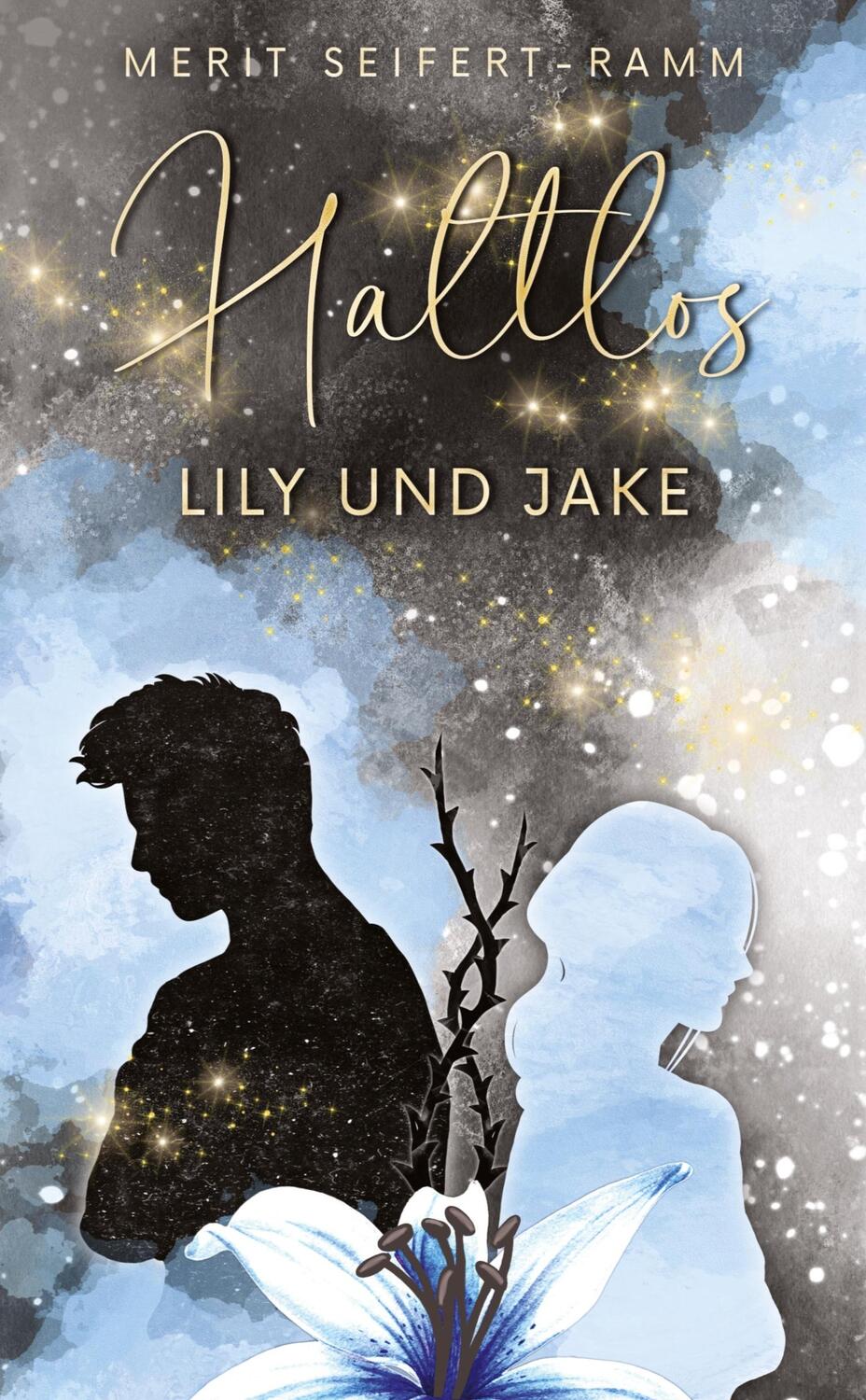 Cover: 9783384265524 | Haltlos - Lily und Jake | Young Adult Romance | Merit Seifert-Ramm