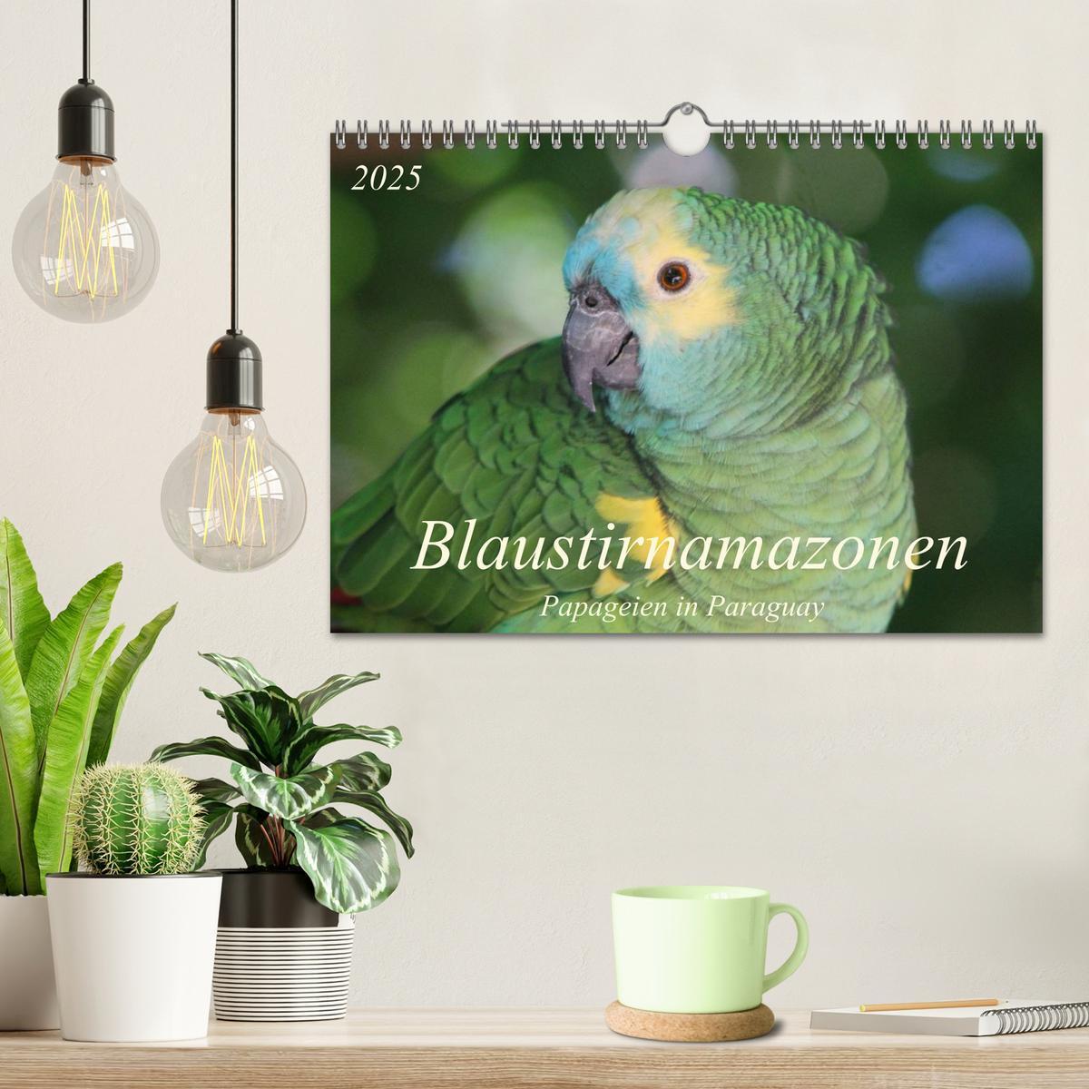 Bild: 9783435728350 | Blaustirnamazonen - Papageien in Paraguay (Wandkalender 2025 DIN A4...