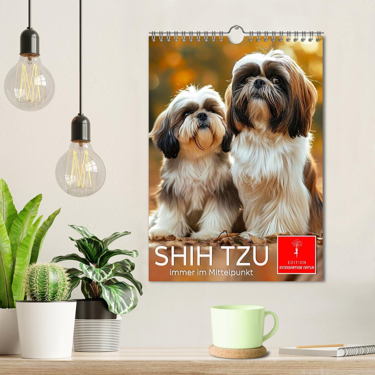 Bild: 9783383765315 | Shih Tzu - immer im Mittelpunkt (Wandkalender 2025 DIN A4 hoch),...