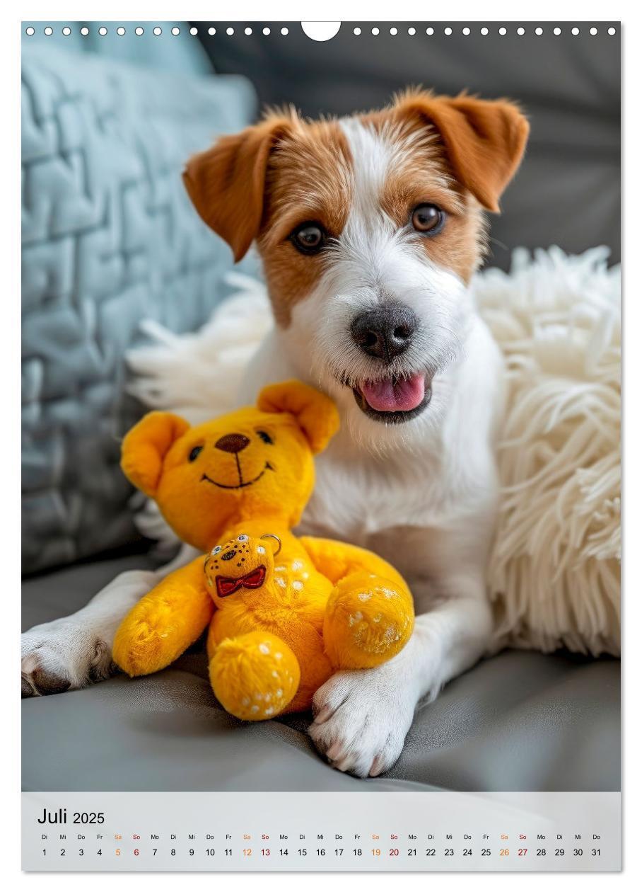 Bild: 9783383778780 | Jack Russel Terrier - furchtlos und viel Selbstvertrauen...