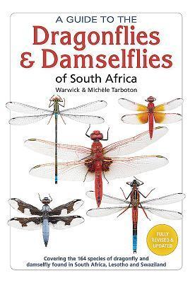 Cover: 9781775847007 | A Guide to the Dragonflies &amp; Damselflies of South Africa: Covering...