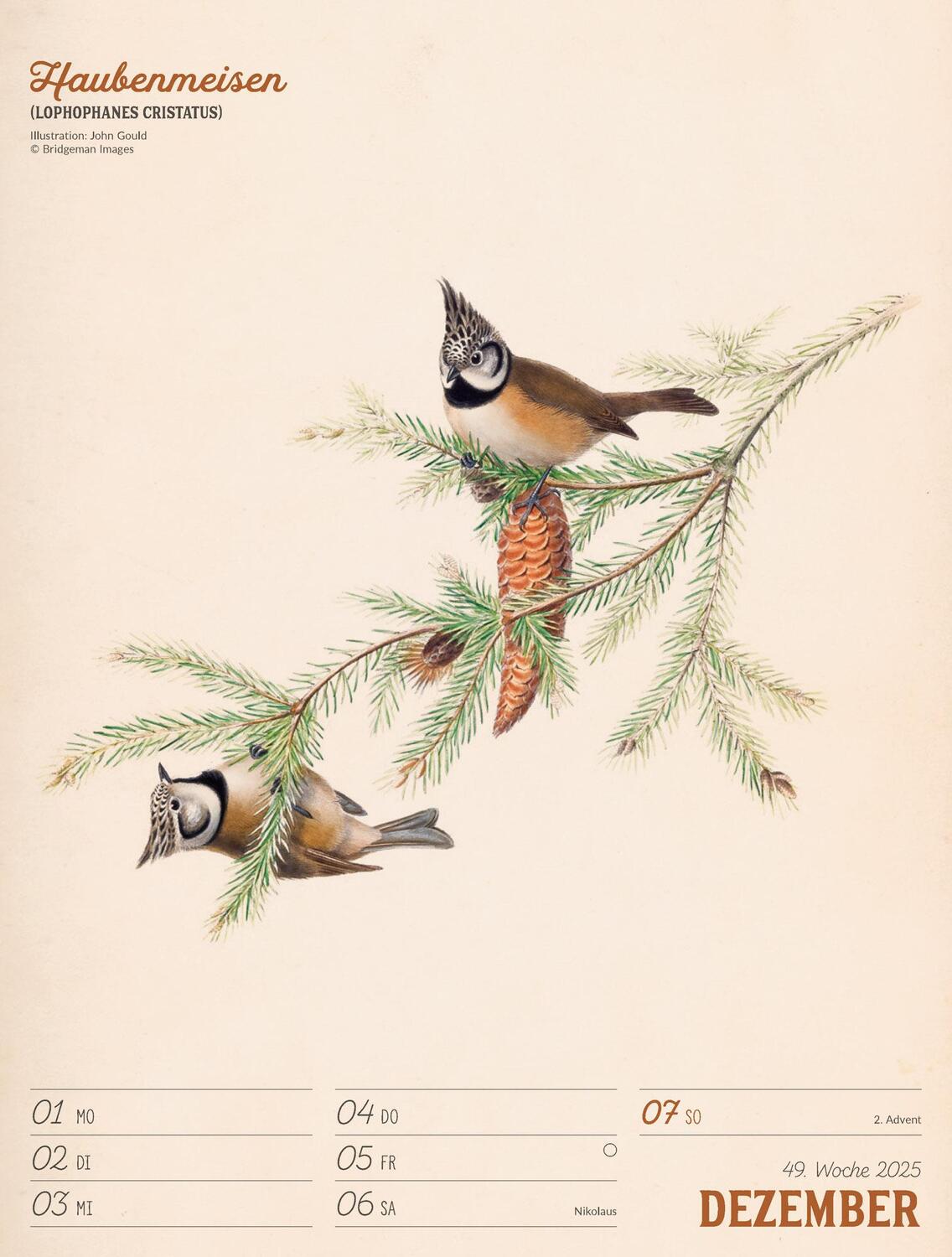 Bild: 9783838435114 | Wunderbare Vogelwelt - Vintage Wochenplaner Kalender 2025 | Kalender