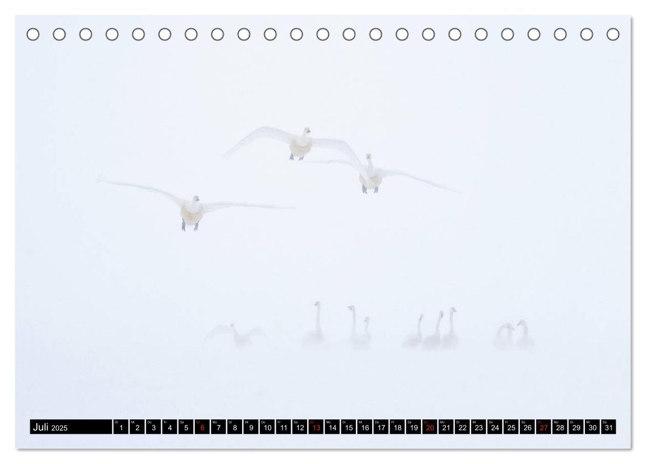 Bild: 9783435292103 | Japanische Vogelwelt im Winter (Tischkalender 2025 DIN A5 quer),...