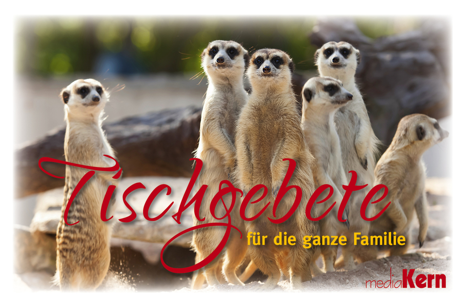 Cover: 9783842978072 | Tischgebete für die ganze Familie | Taschenbuch | 2016 | mediaKern