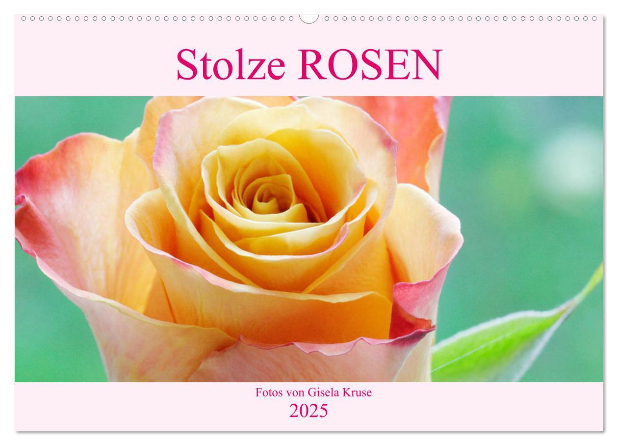 Cover: 9783435295258 | Stolze Rosen (Wandkalender 2025 DIN A2 quer), CALVENDO Monatskalender