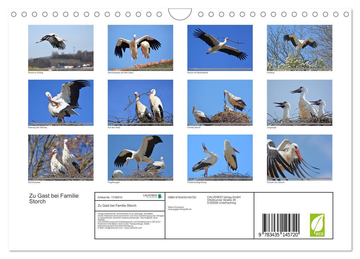 Bild: 9783435145720 | Zu Gast bei Familie Storch (Wandkalender 2025 DIN A4 quer),...