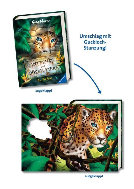 Bild: 9783473408429 | Internat der bösen Tiere, Band 1: Die Prüfung | Gina Mayer | Buch