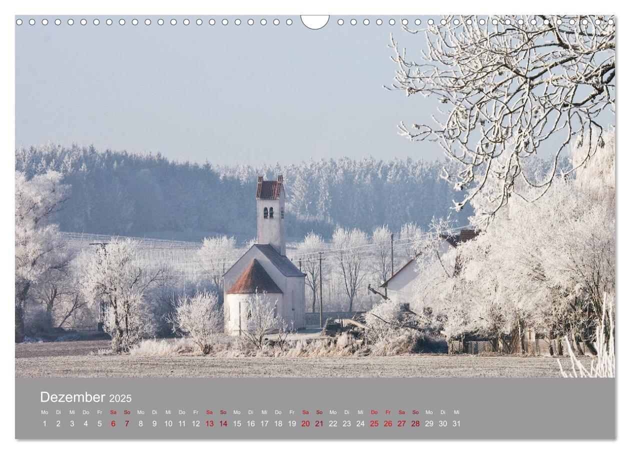 Bild: 9783435249169 | Hallertau (Wandkalender 2025 DIN A3 quer), CALVENDO Monatskalender