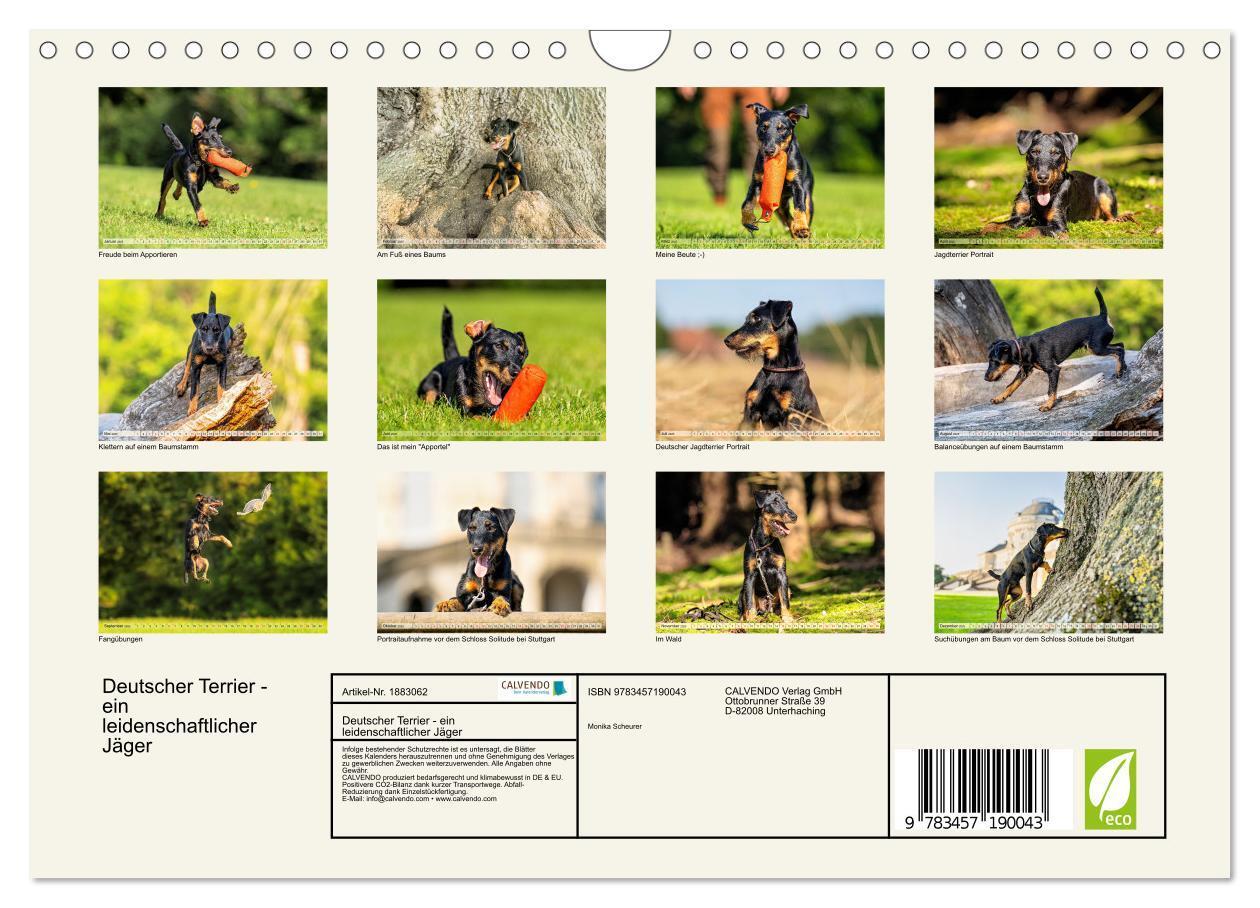 Bild: 9783457190043 | Deutscher Terrier - ein leidenschaftlicher Jäger (Wandkalender 2025...