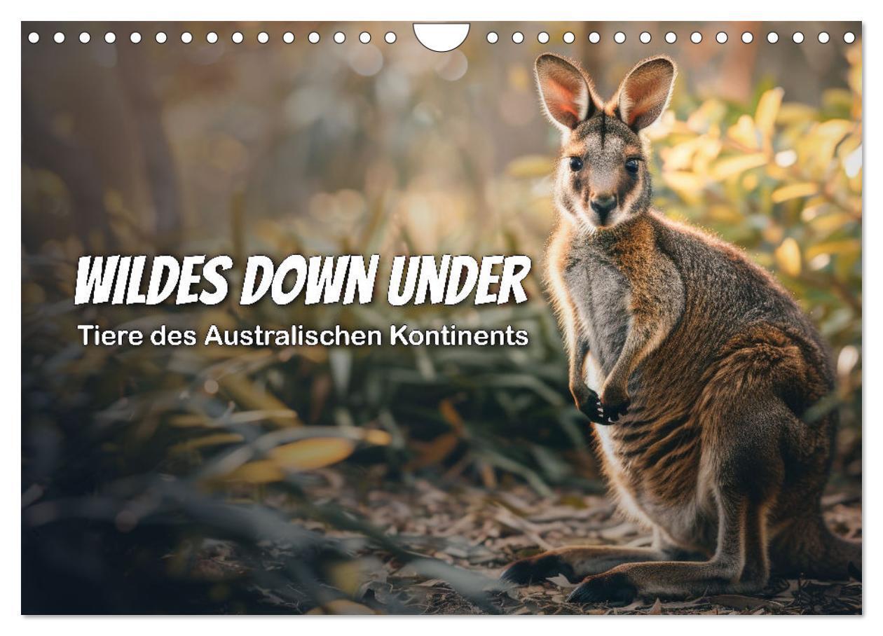 Cover: 9783383800641 | Wildes Down Under: Tiere des Australischen Kontinents (Wandkalender...