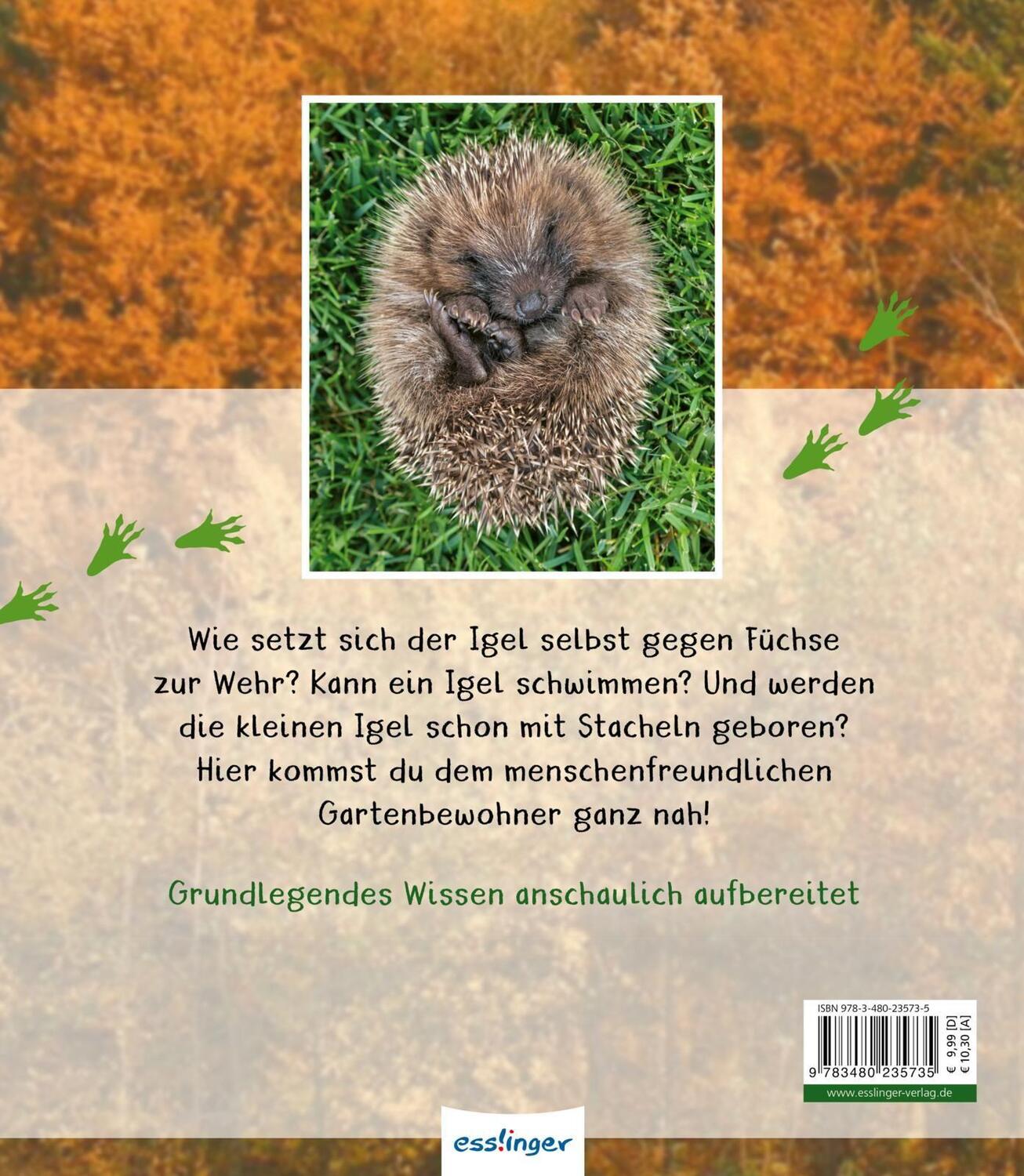 Rückseite: 9783480235735 | Meine große Tierbibliothek: Der Igel | Valérie Tracqui | Buch | 32 S.