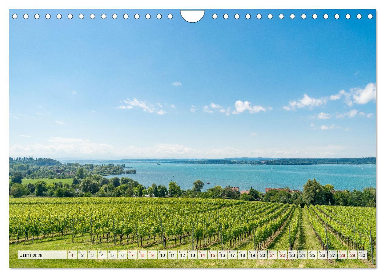 Bild: 9783435071982 | Traumhafter Bodensee (Wandkalender 2025 DIN A4 quer), CALVENDO...