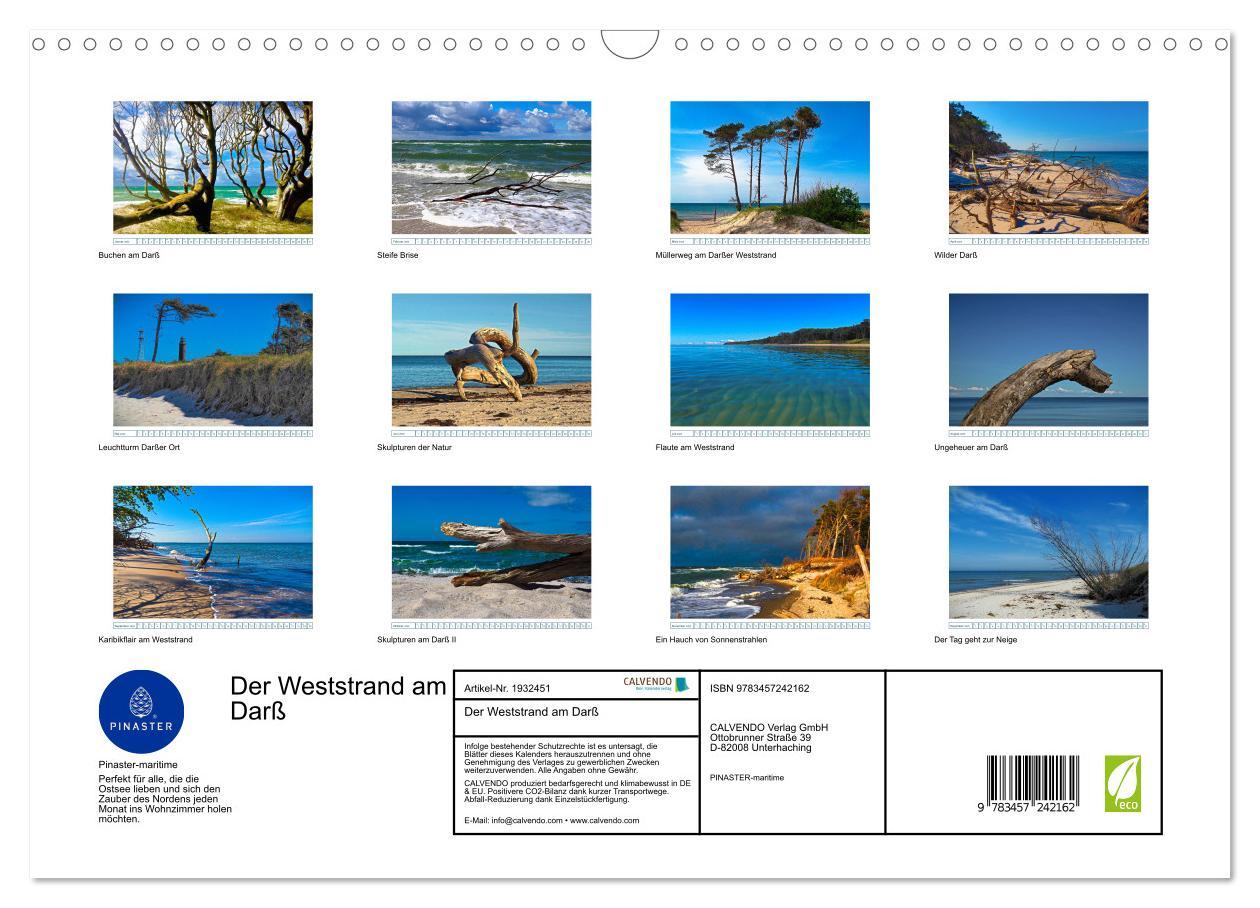 Bild: 9783457242162 | Der Weststrand am Darß (Wandkalender 2025 DIN A3 quer), CALVENDO...