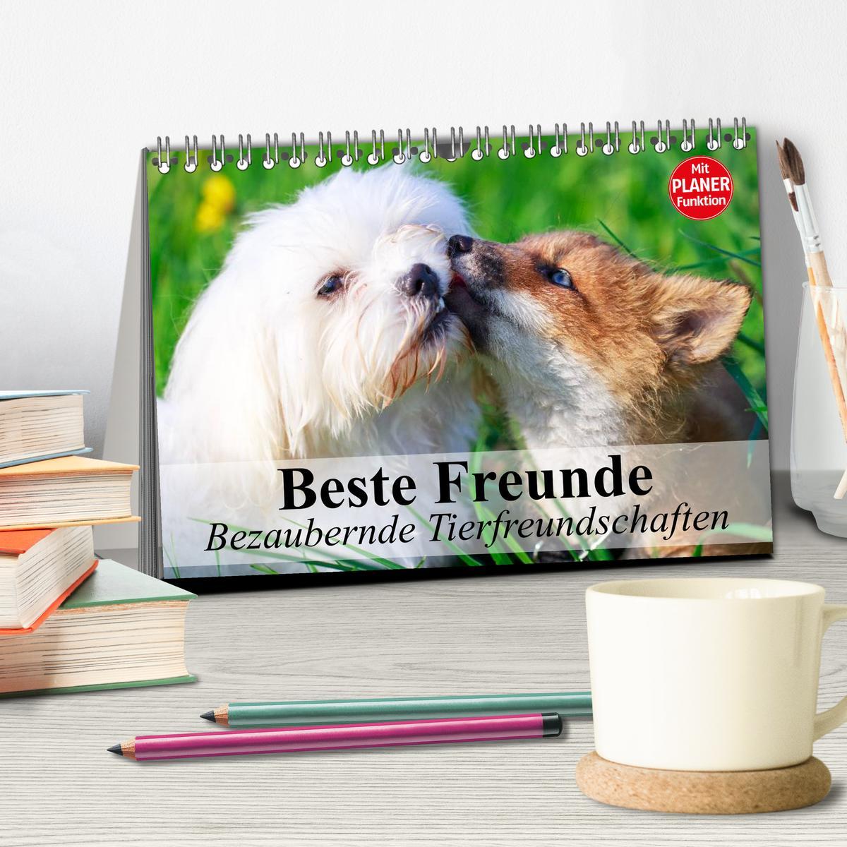 Bild: 9783435514342 | Beste Freunde. Bezaubernde Tierfreundschaften (Tischkalender 2025...