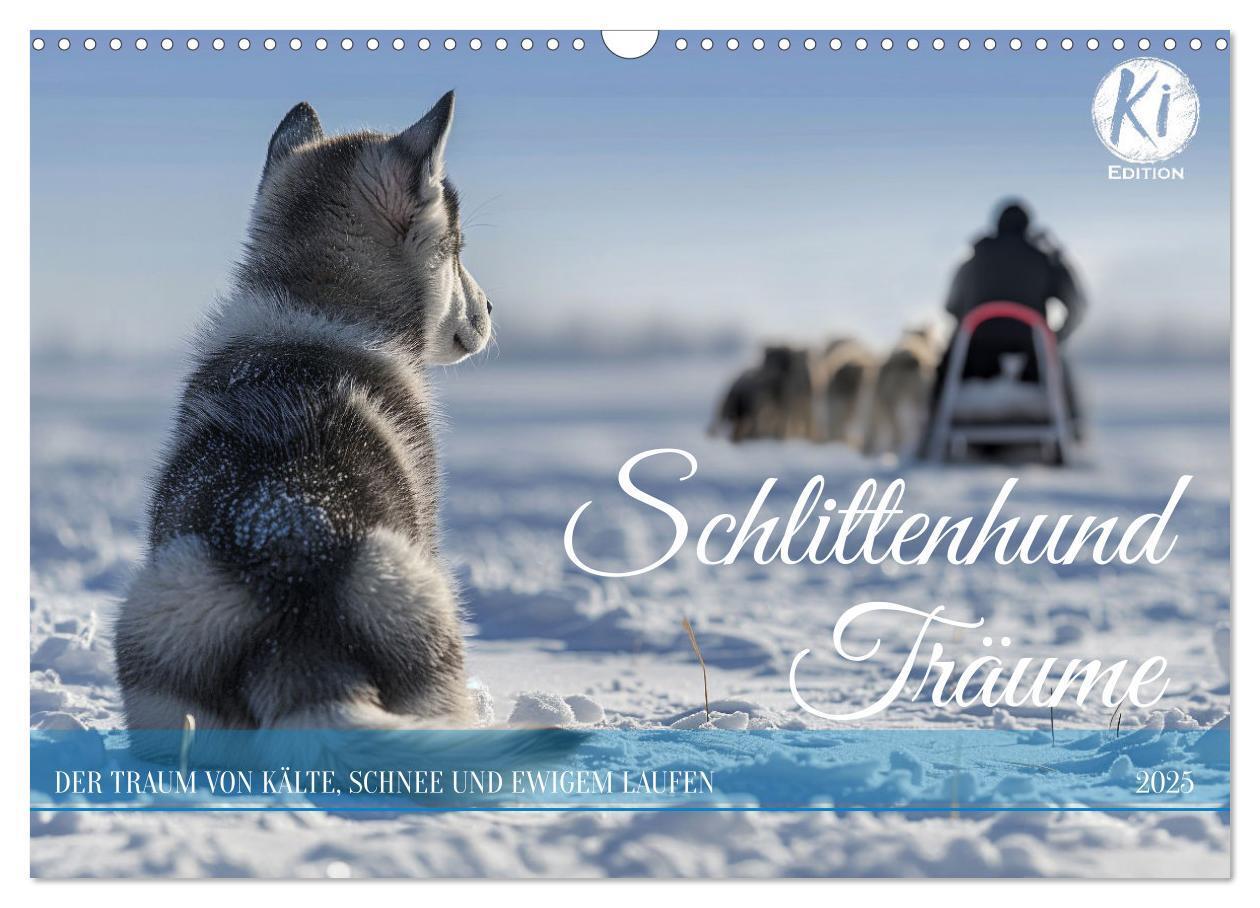 Cover: 9783383831263 | Schlittenhund Träume (Wandkalender 2025 DIN A3 quer), CALVENDO...