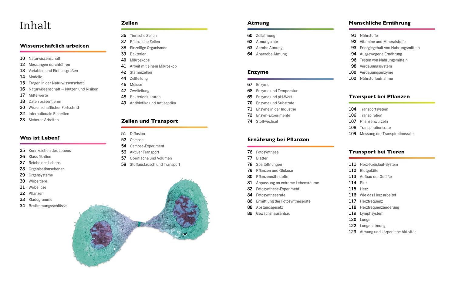 Bild: 9783831042906 | Visuelles Wissen. Biologie | Taschenbuch | Visuelles Wissen | 288 S.