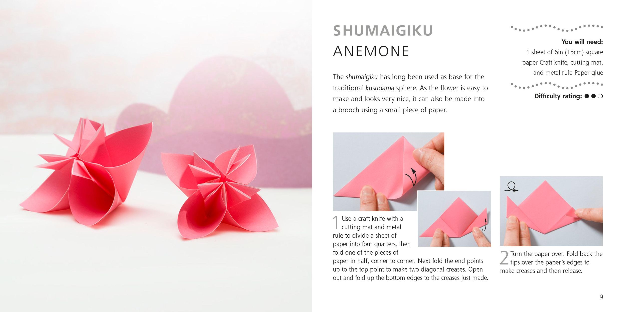 Bild: 9781782498629 | Origami Flowers and Birds | Paper Pack Plus 64-Page Book | Mari Ono