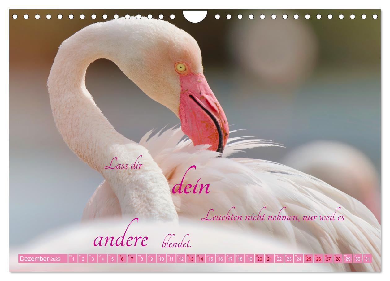 Bild: 9783457141618 | The Power Of Pink (Wandkalender 2025 DIN A4 quer), CALVENDO...