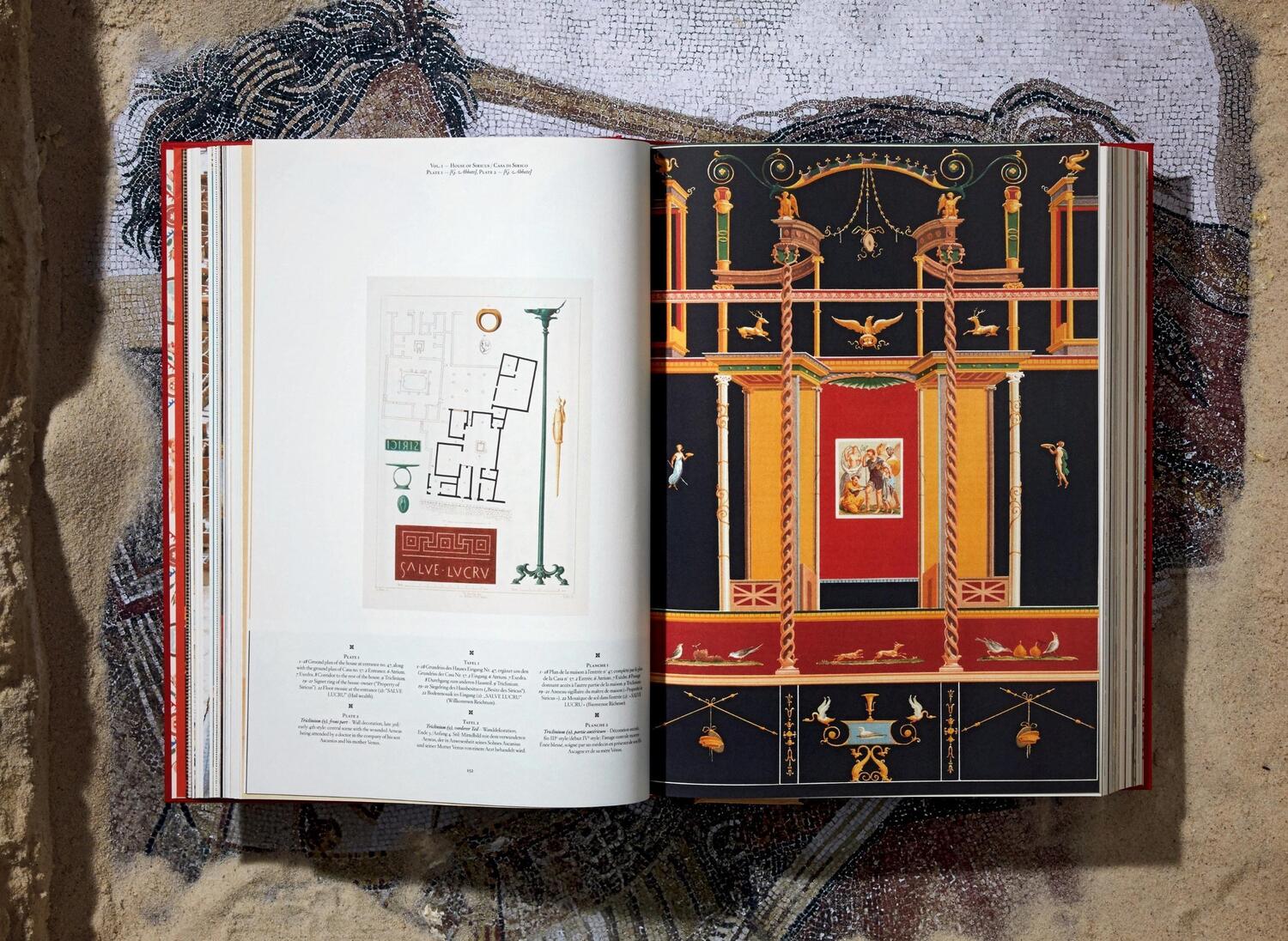 Bild: 9783836556873 | Fausto &amp; Felice Niccolini. Houses and Monuments of Pompeii | Buch