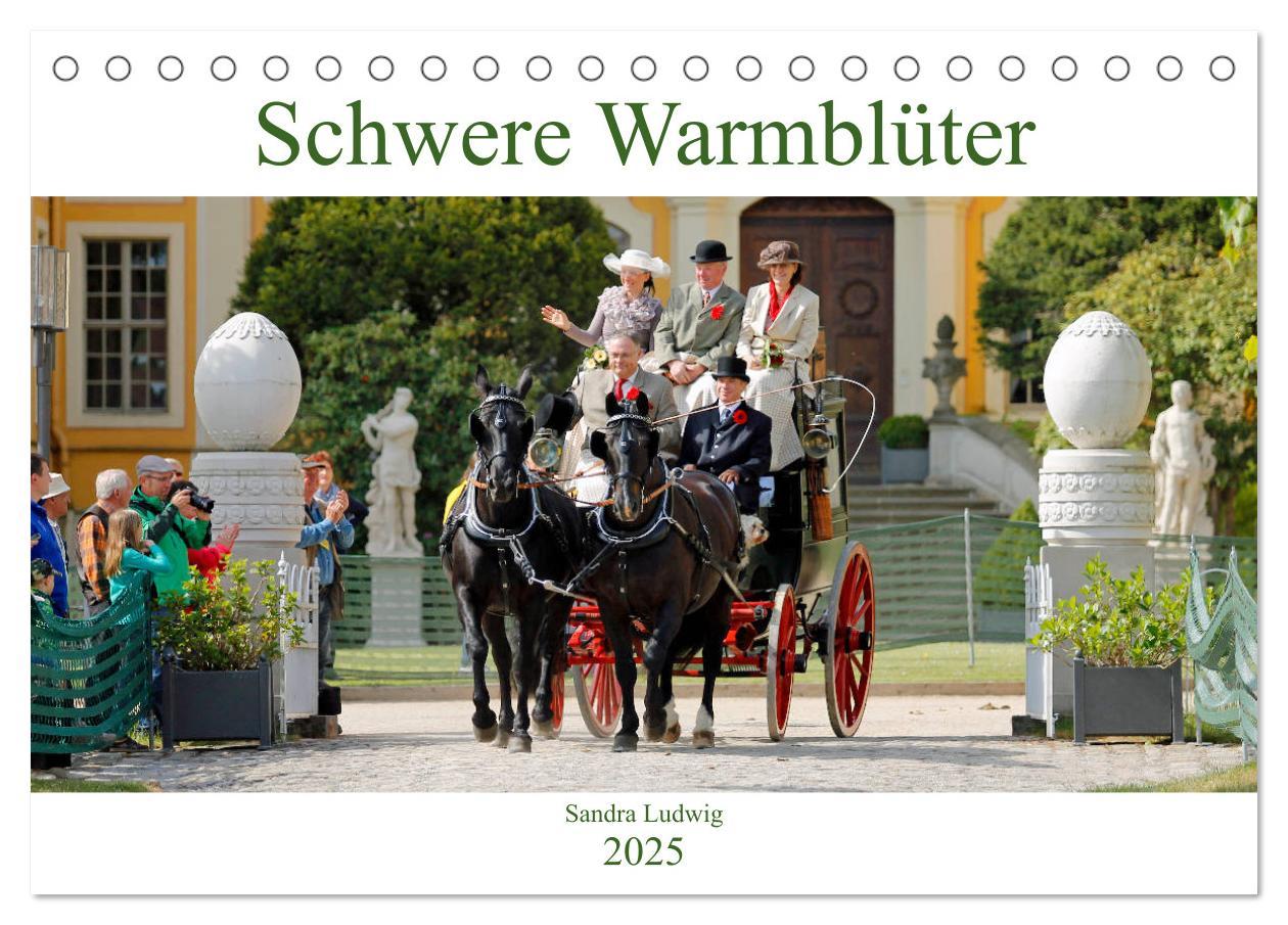 Cover: 9783435394296 | Schwere Warmblüter 2025 (Tischkalender 2025 DIN A5 quer), CALVENDO...